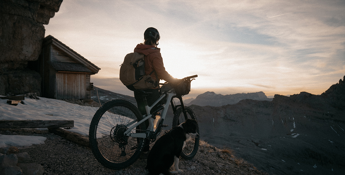 a girl's best friend